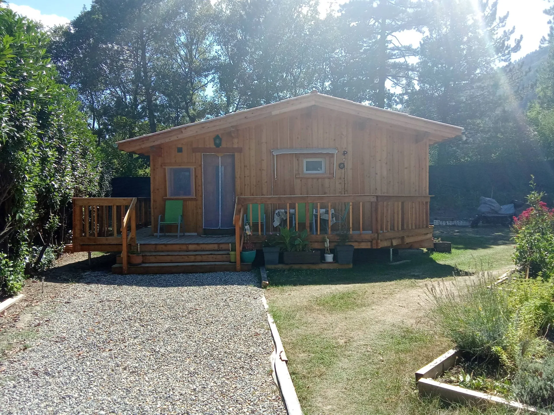 Le chalet en bois à contre-jour, le soleil filtrant entre les pins