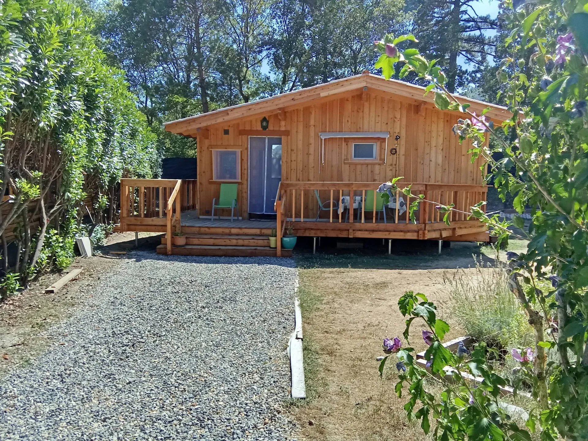 Le chalet entre les arbres, fleurs mauves au premier plan